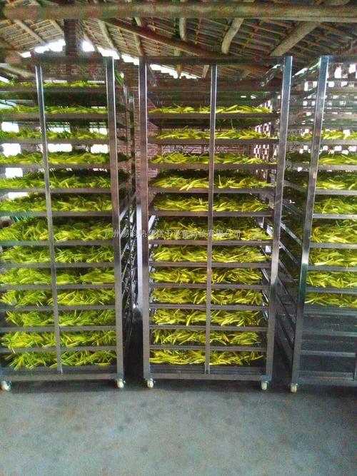 黃花菜烘干機、黃花菜烘干設備、黃花菜干燥機、黃花菜干燥設備、
